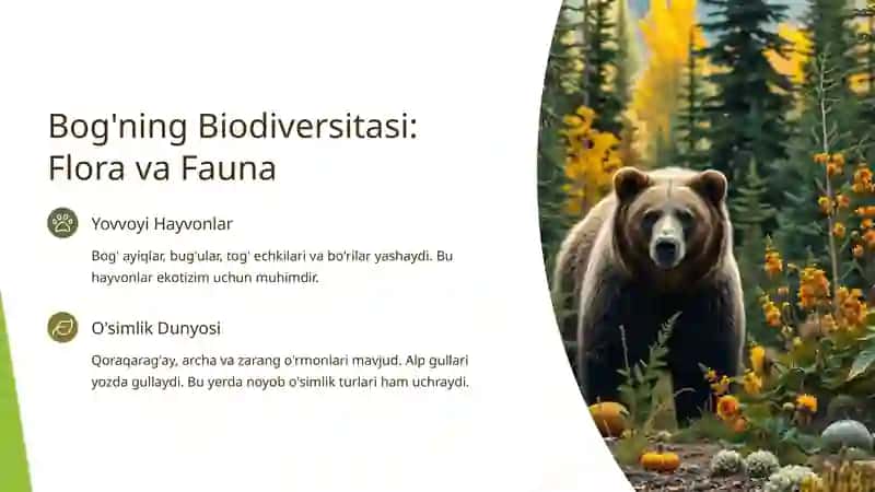 Jasper Milliy Bog'i 3