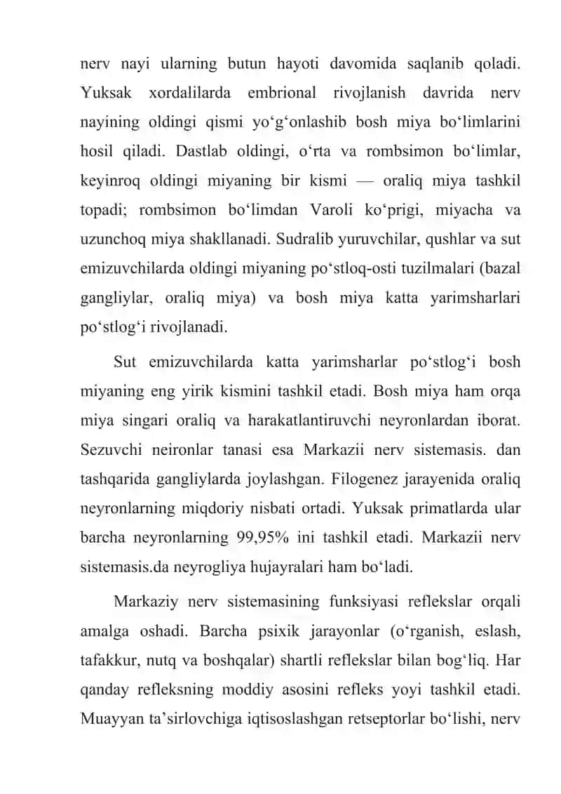 UMURTQALILAR MARKAZIY ASAB TIZIMINING TUZILISHI VA VAZIFASI. 3