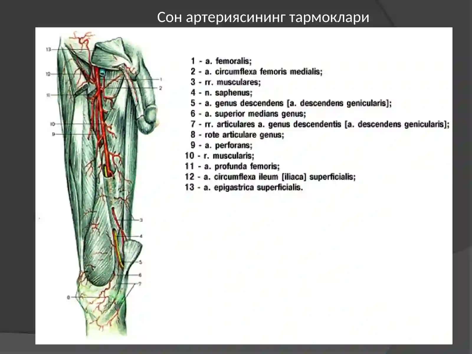 Сон артерияси 3