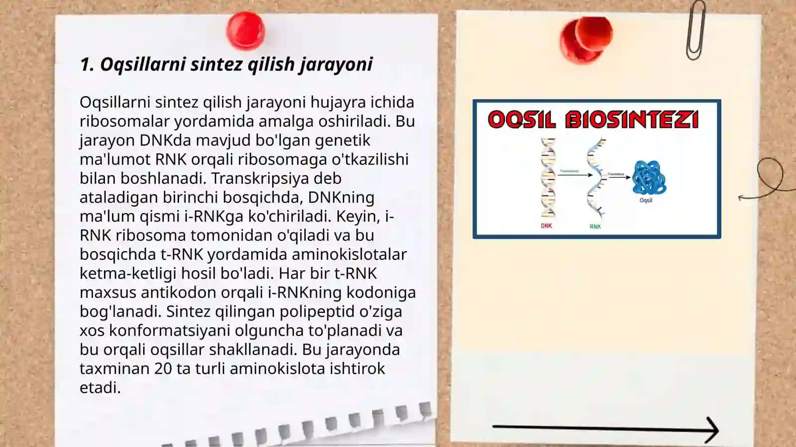 Oqsillar va fermentlar 3