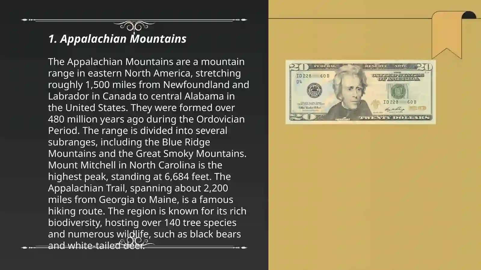 Appalachian Mountains 3