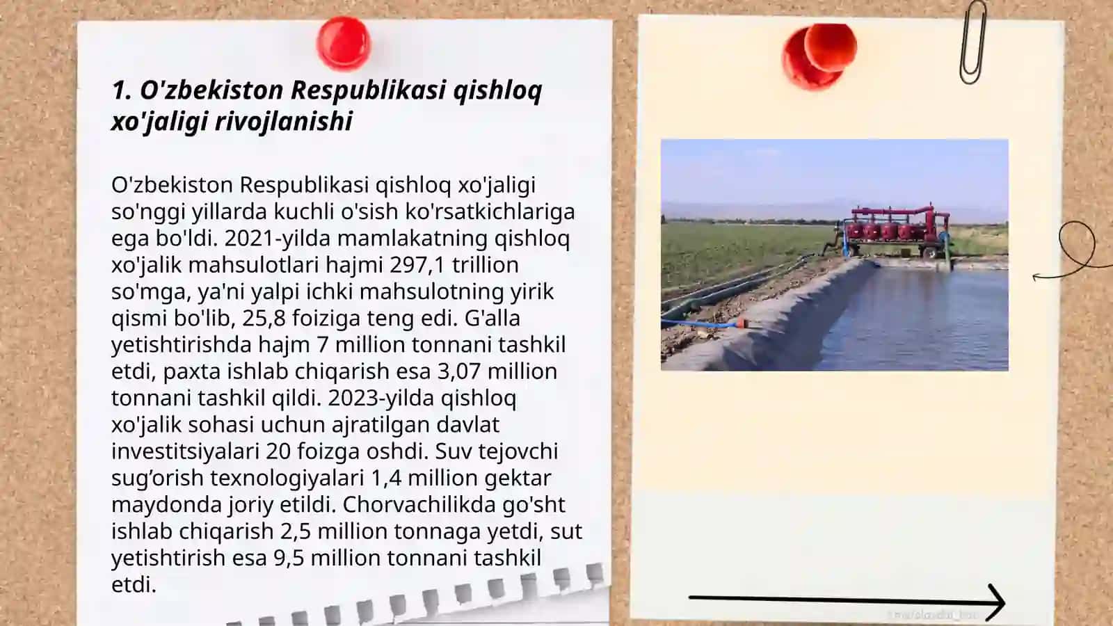 O'zbekiston Respublikasi qishloq xo'jaligi kontrakti 3