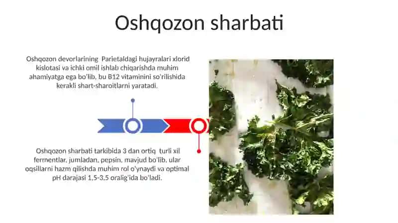 Oshqozon Sharbati 3