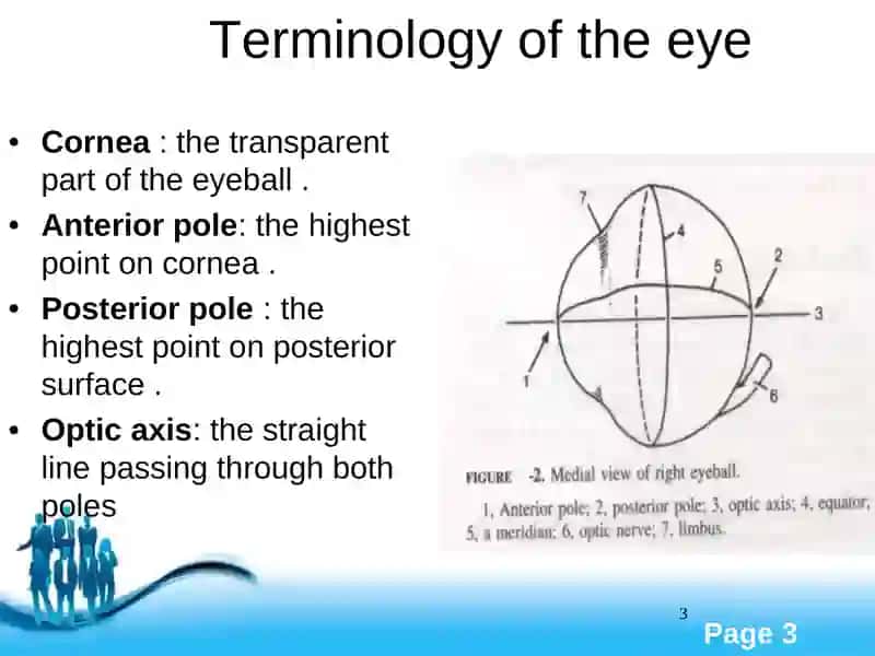 TheEye 3