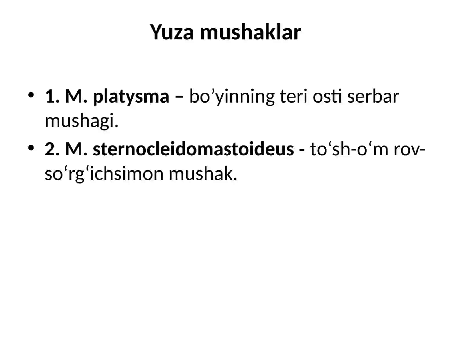 Bo‘yinmushaklariuchguruh 3