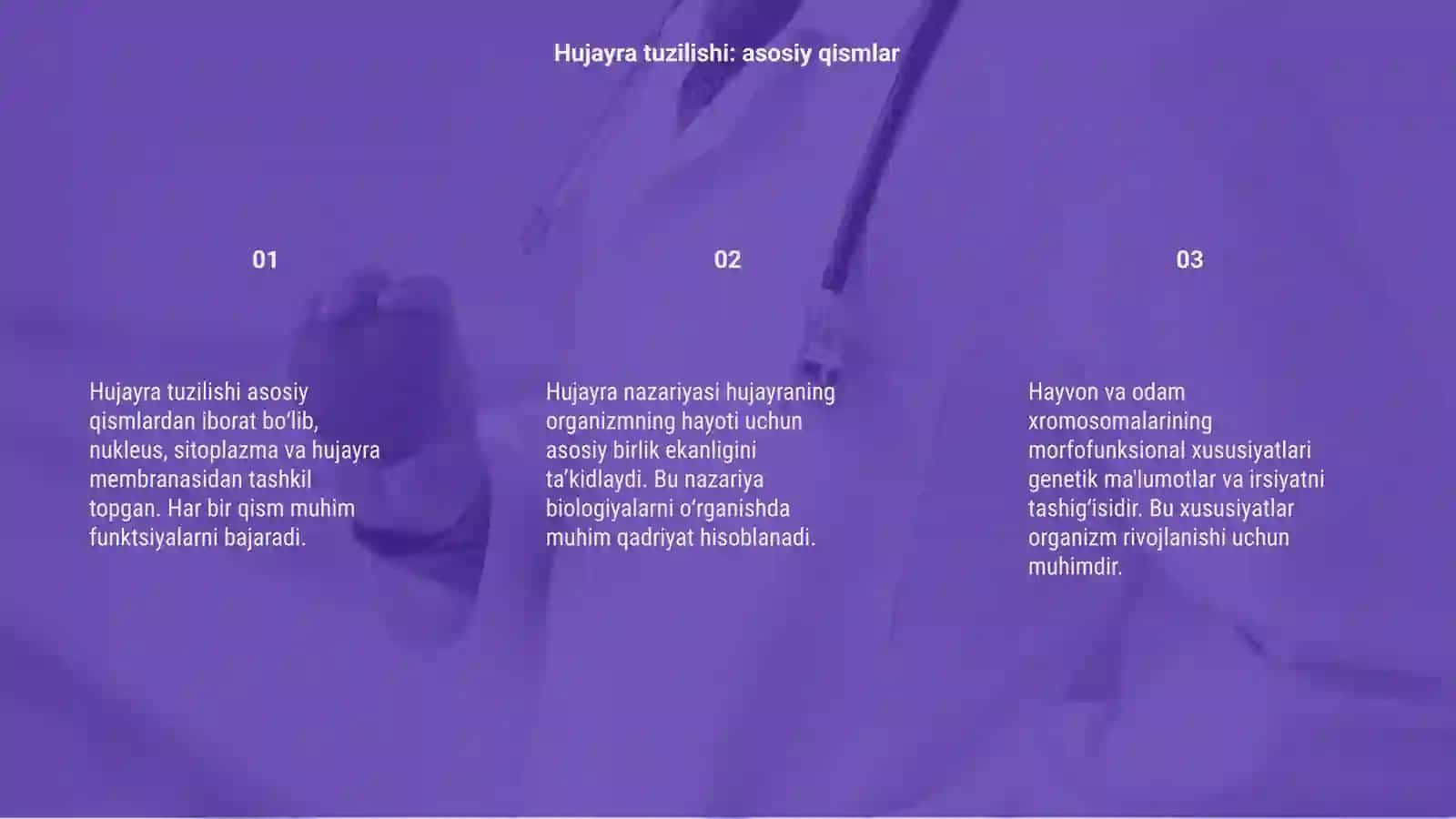 Hujayra tuzilishi 3