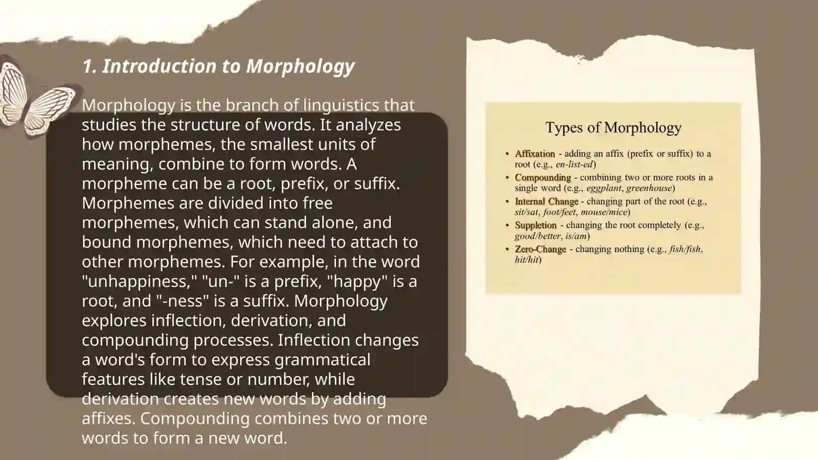 Introduction to Morphology 3