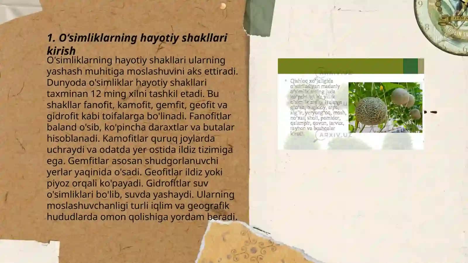 O'simliklarning hayotiy shakllari. Tuban o'simliklar. Yuksak o'simliklar 3