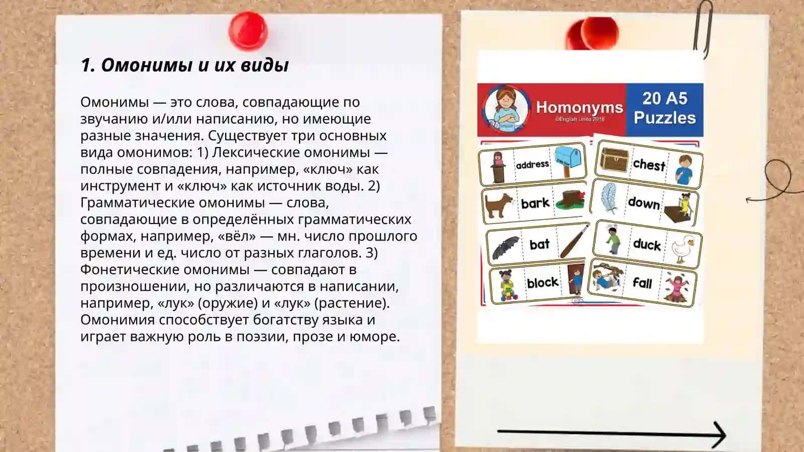 Омонимы 3