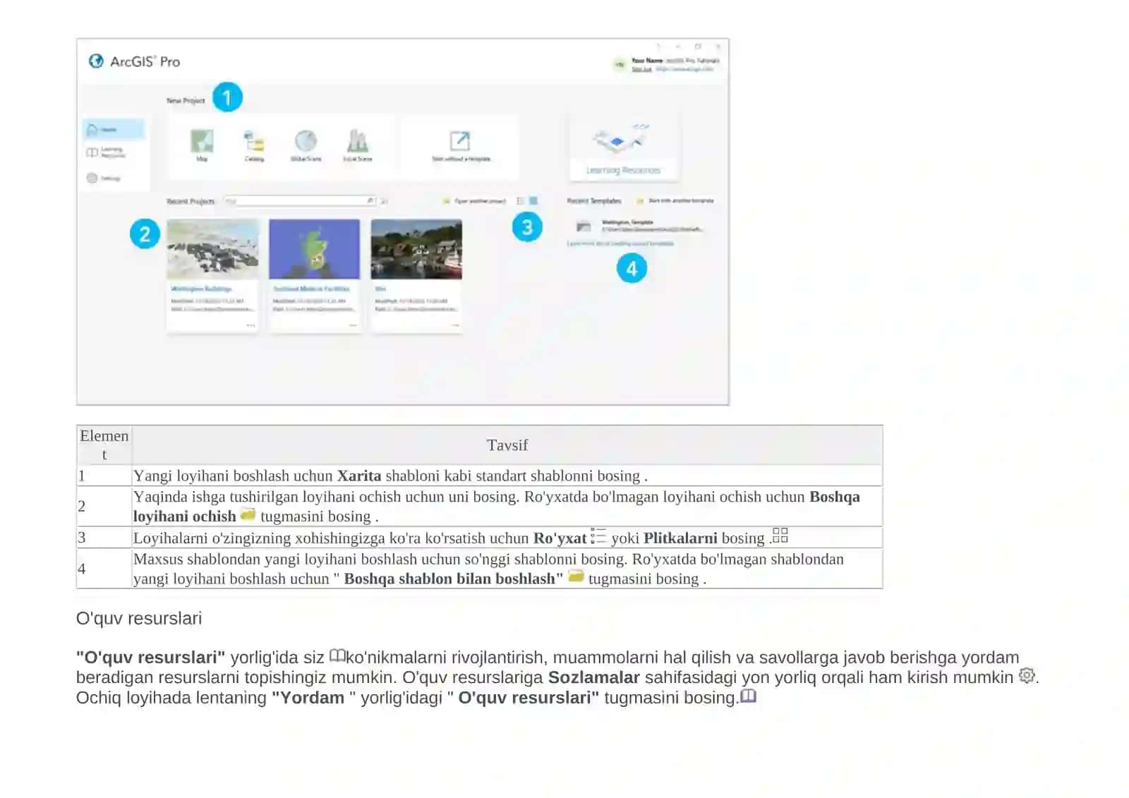 ArcGIS Pro 3
