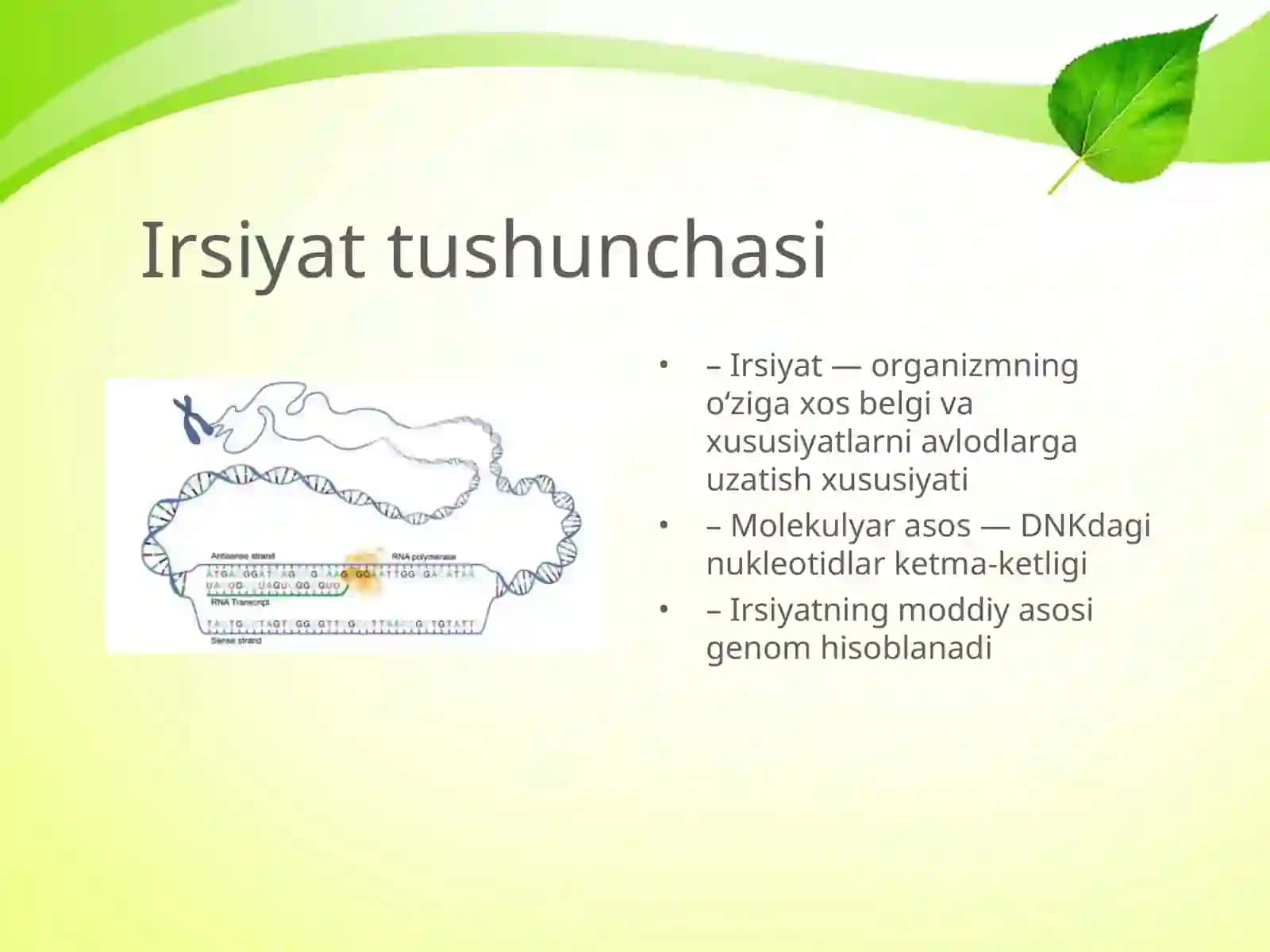 Mavzu: IRSIYATNING MOLEKULYAR ASOSLARI 3