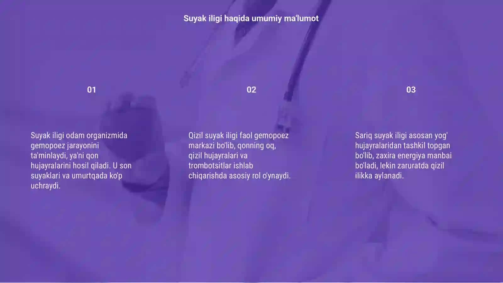 Suyak iligi 3