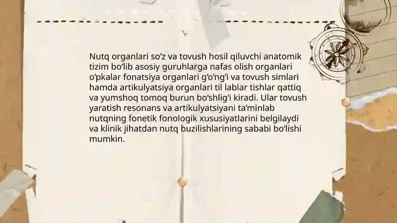 Nutq organlari 3