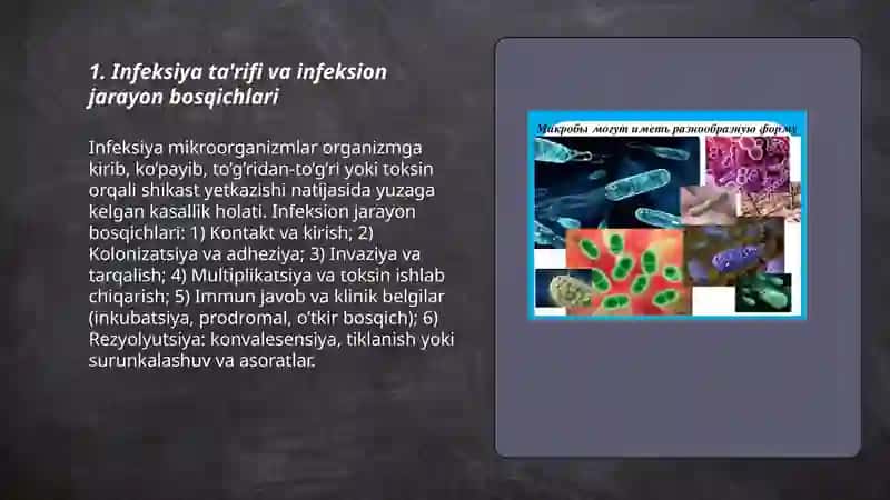 Infeksiya 3