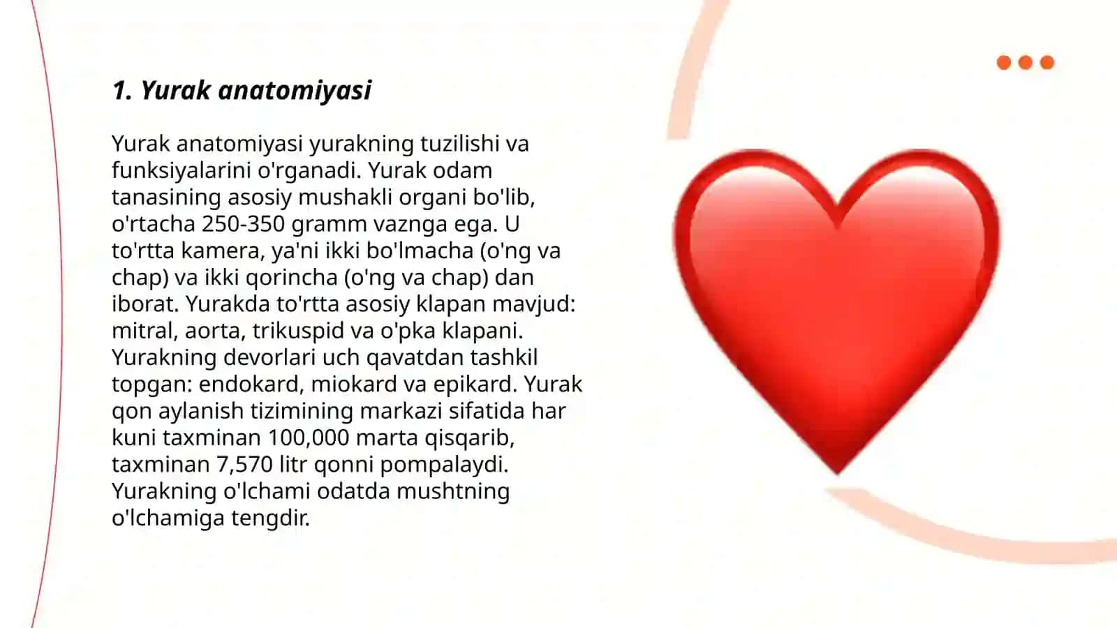 Yurak anatomiyasi 3