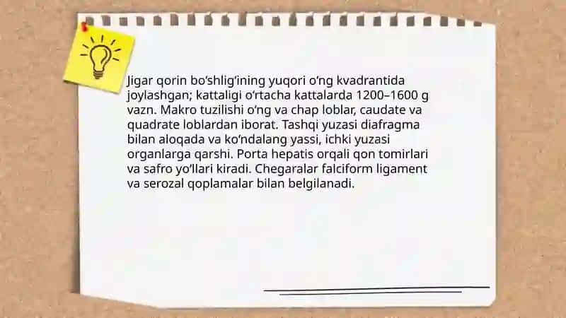 Hazm bezlari Jigar 3