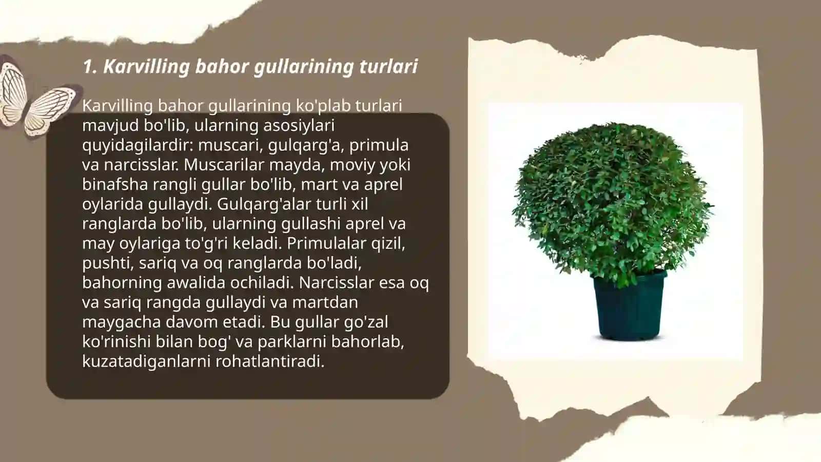 Karvilling bahor gullari 3