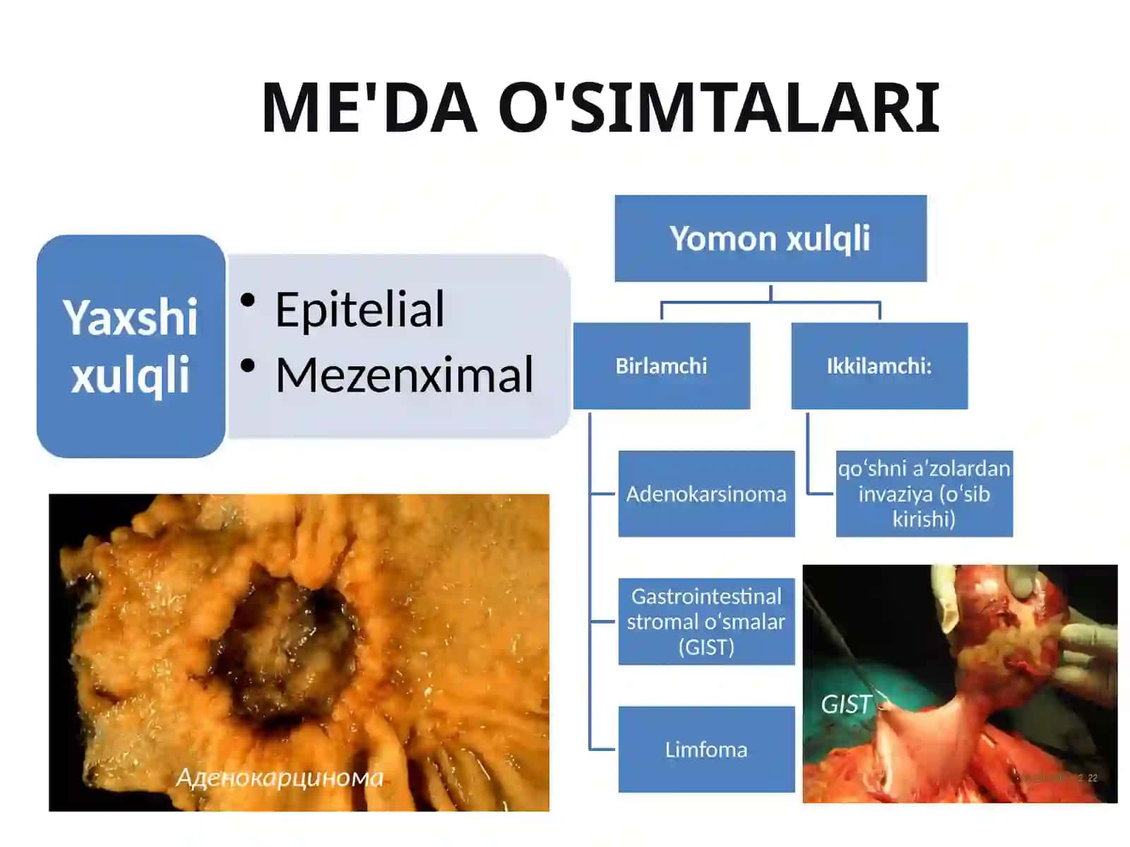 Me'da saratoni 3