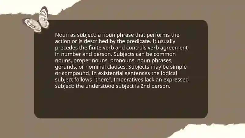 Syntactic Functions of Nouns 3