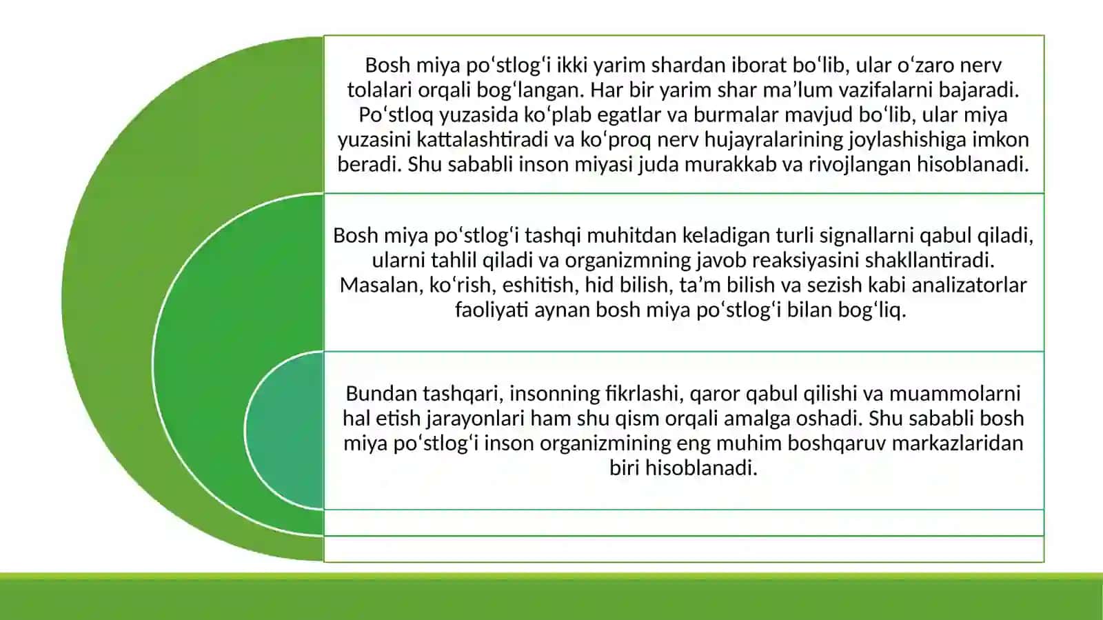 Bosh miya poʻstlogʻi va uning funksiyasi 3