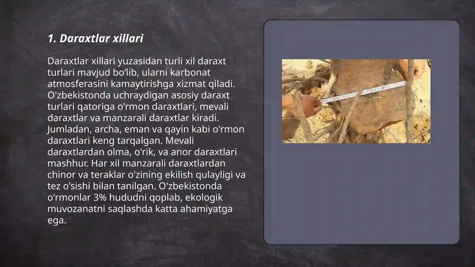 Daraxtlar va Butalar 3