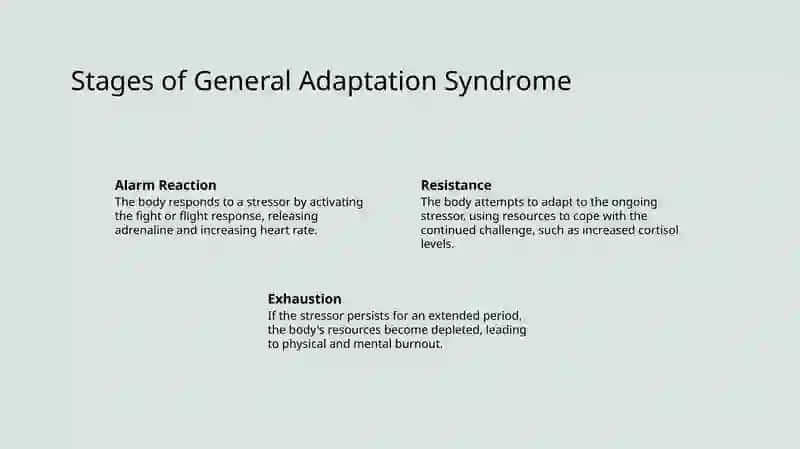 General Adaptation Syndrome 3