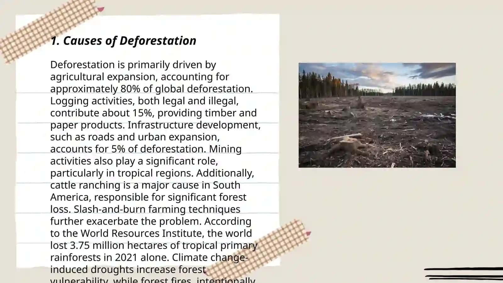 Deforestation 3