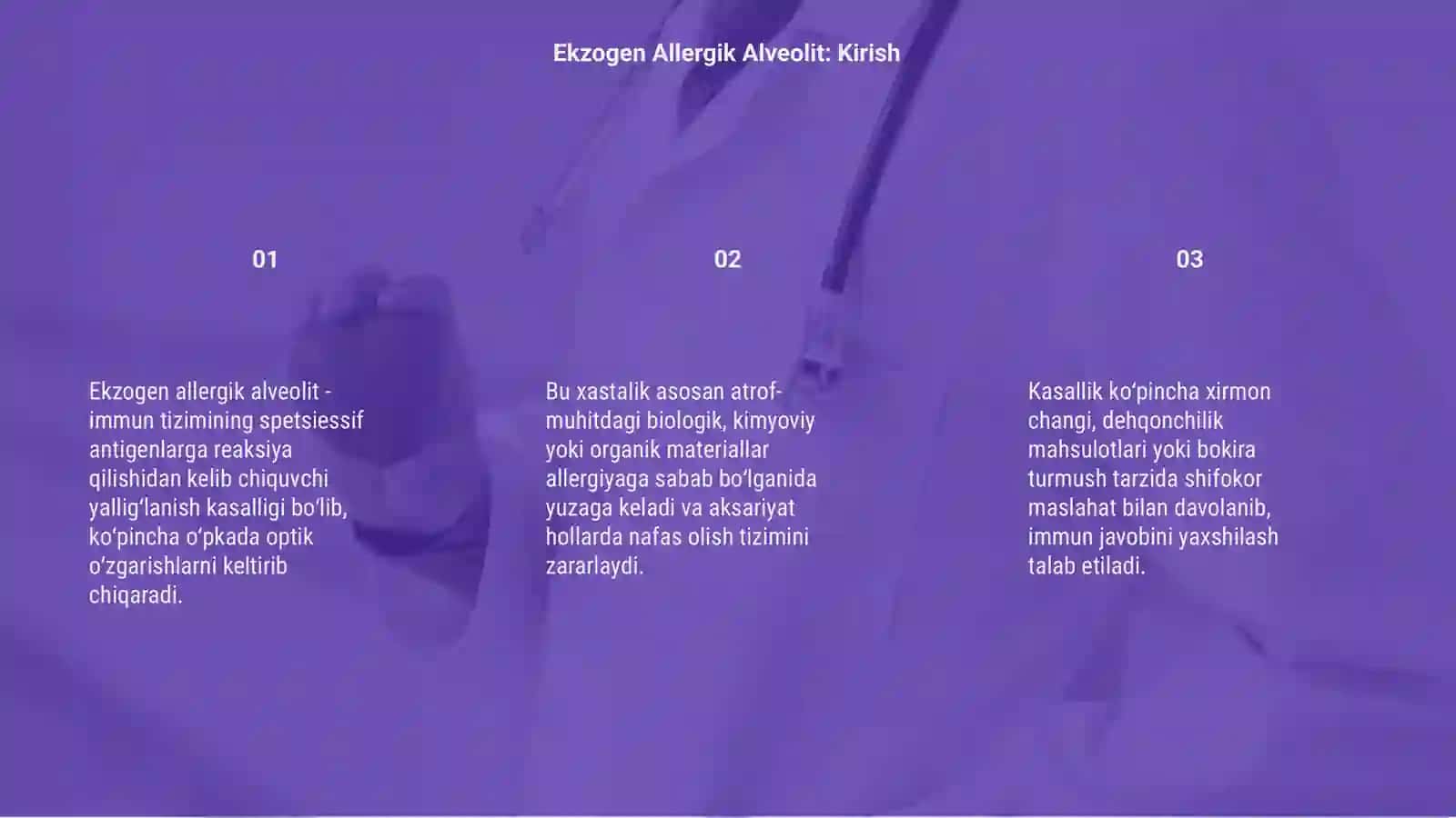Ekzogen allergik alveolit 3