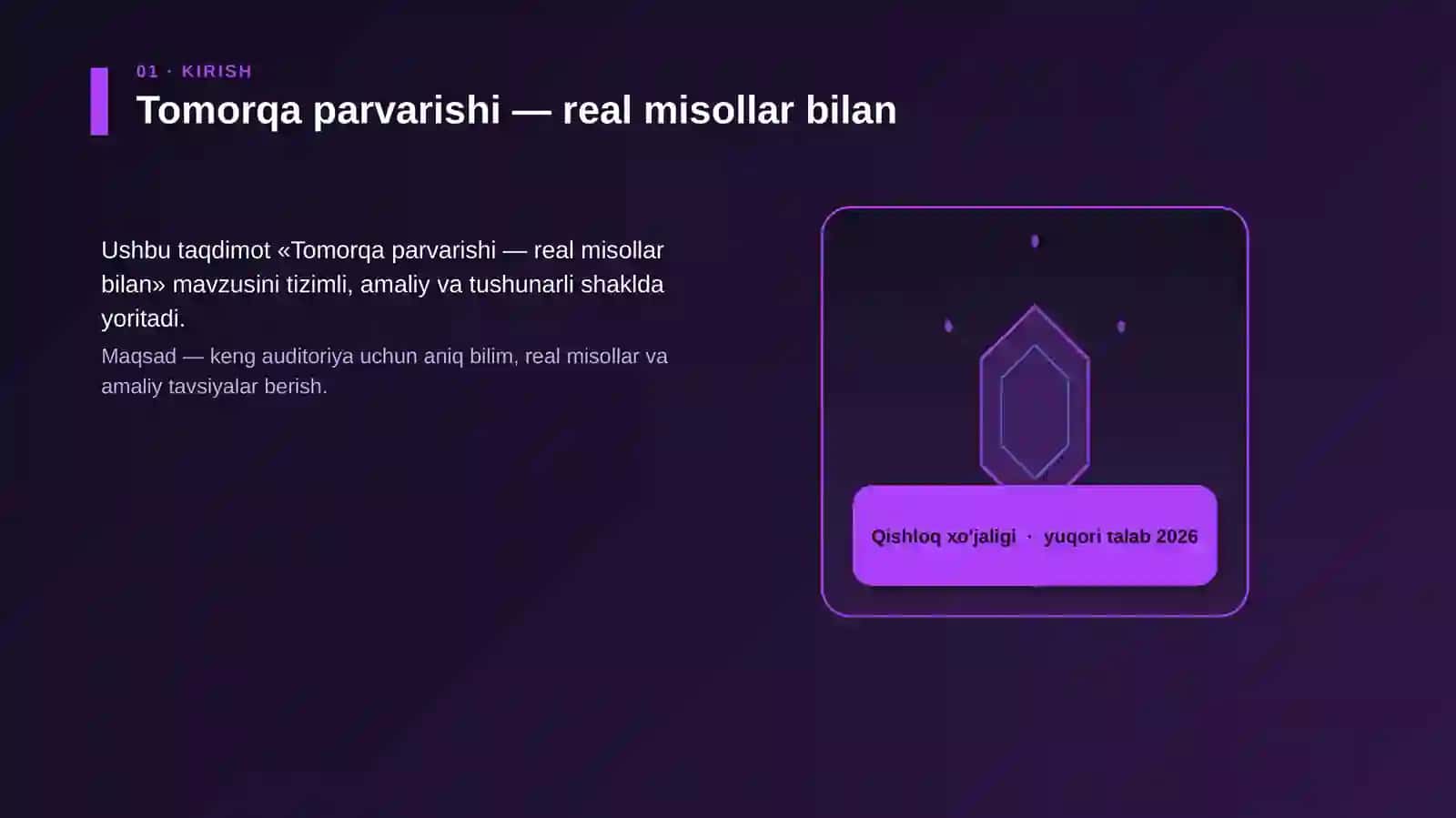Tomorqa parvarishi — real misollar bilan 3
