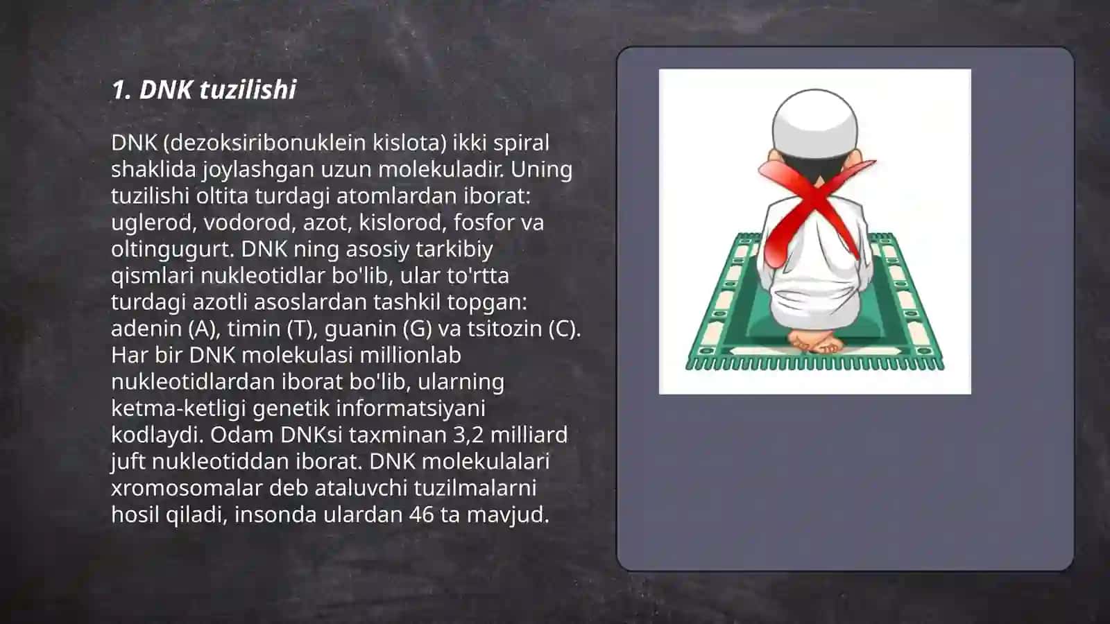 DNK 3