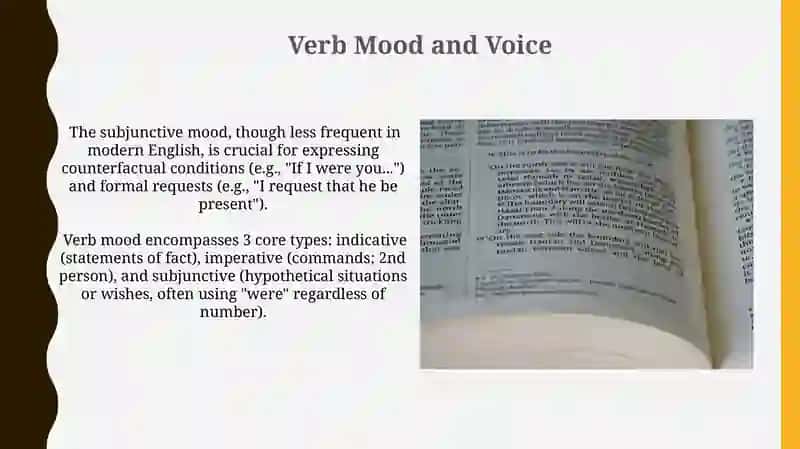 Verb Types 3