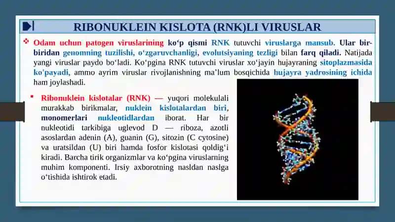 RNK Saqlovchi viruslar 3