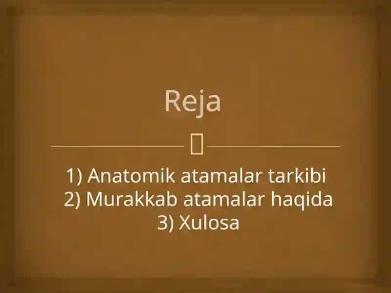 Murakkab anatomikatamalar strukturasi 3
