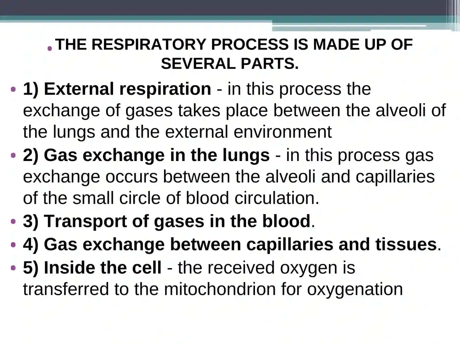 RESPIRATORY SYSTEM PHYSIOLOGY 3