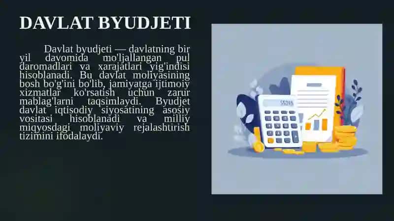 Davlat Byudjeti 3