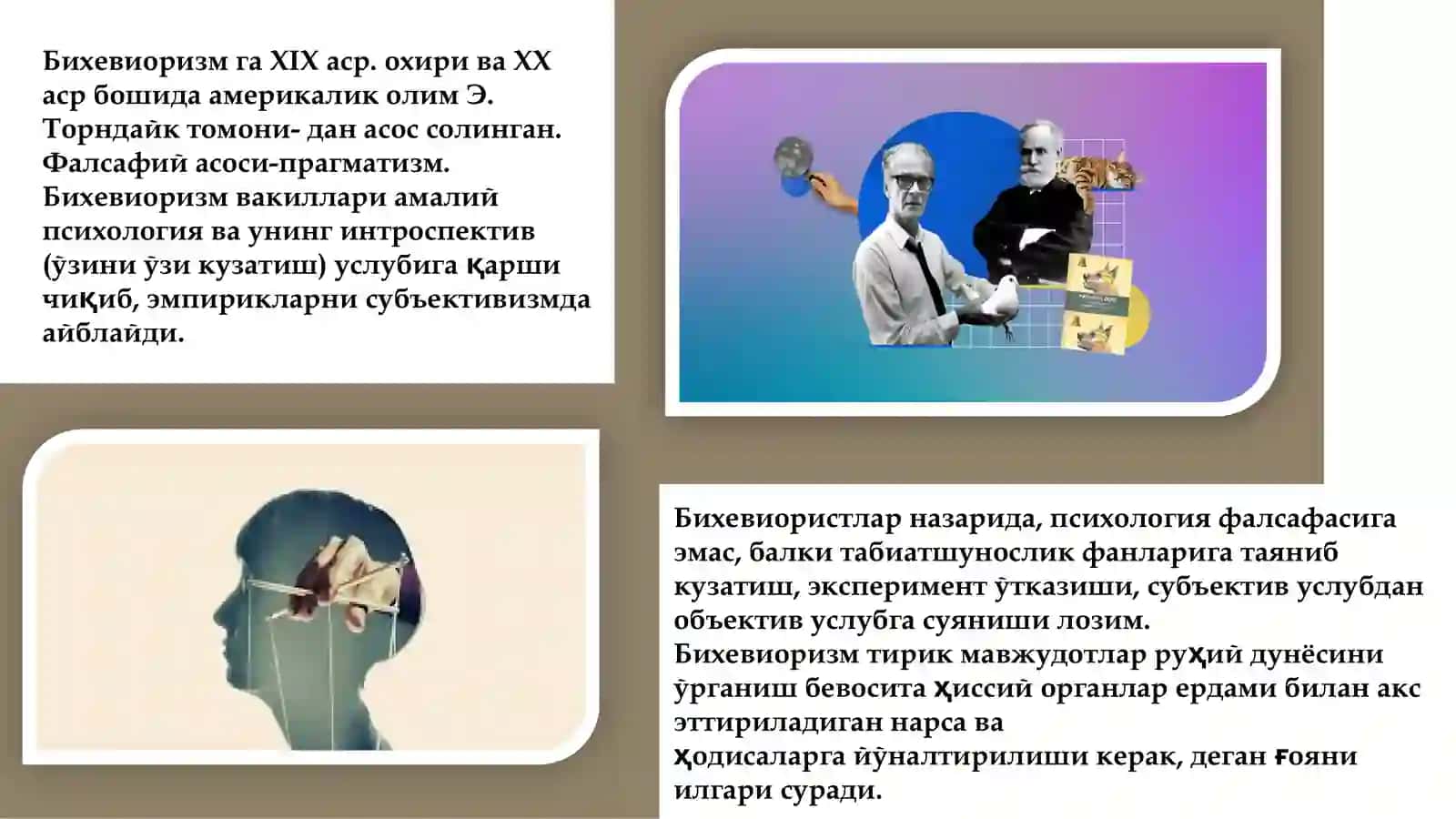 Бихевиоризм 3