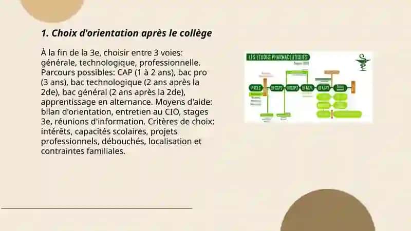 Les études et lʼorientation professionelle 3