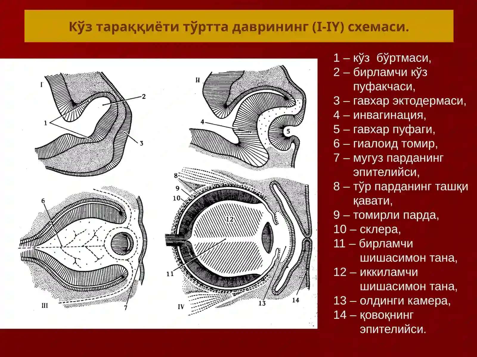 СЕЗУВ АЪЗОЛАРИ 3