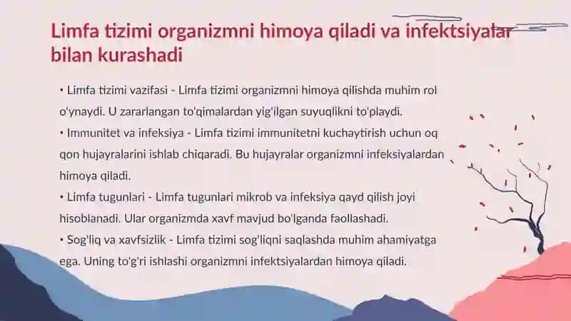Limfa sistemasi 3