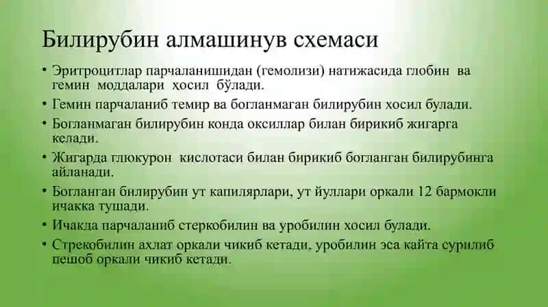 Вирусли гепатитлар 3