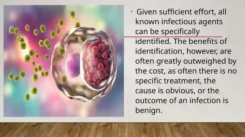Factors determining the severity of infection 3
