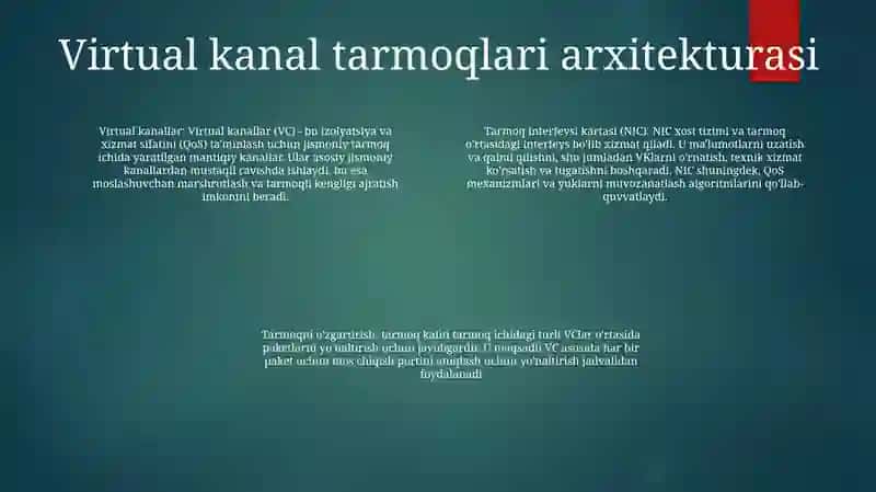 Virtual Kannalli Tarmoqlar 3