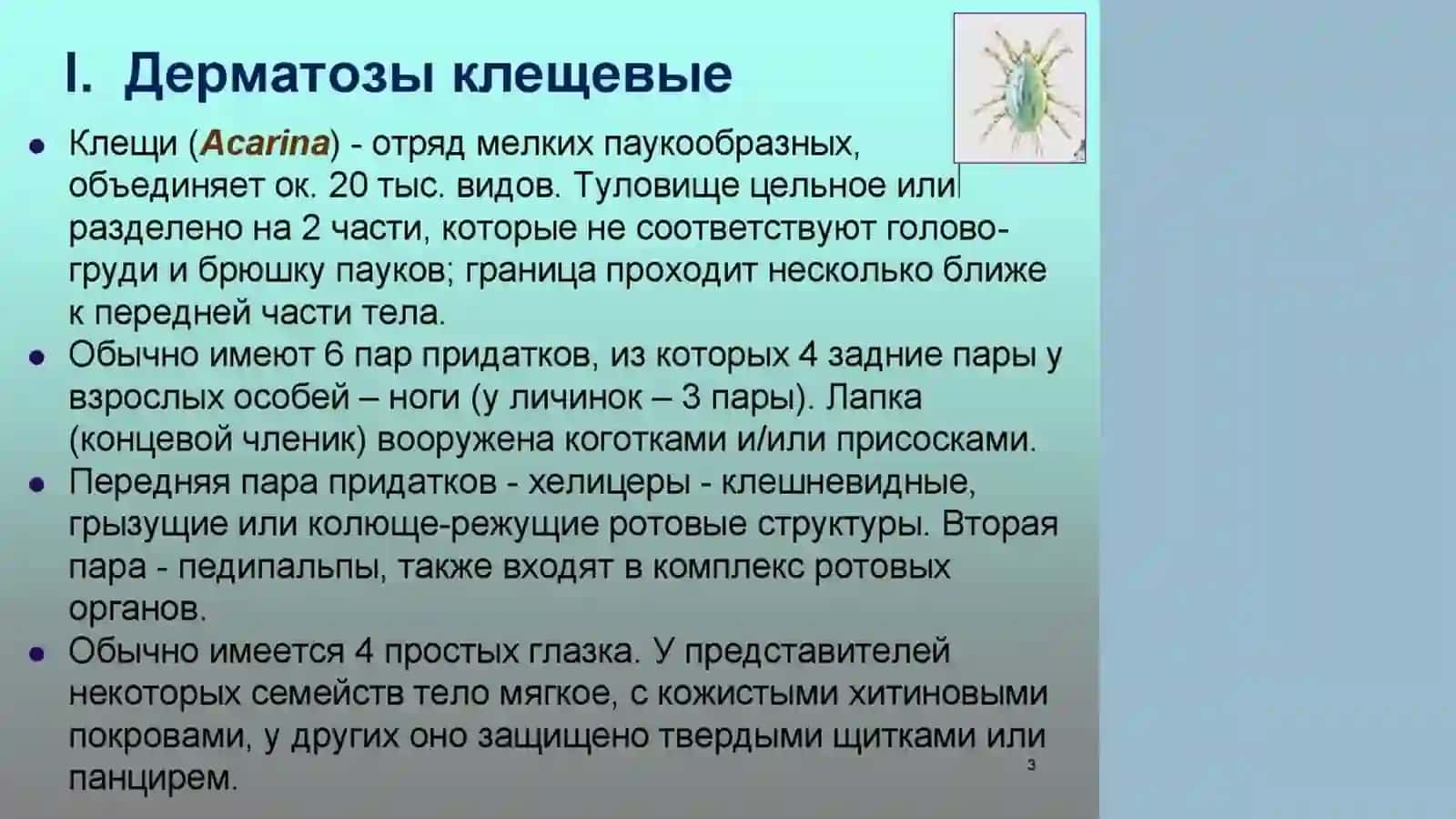 Дерматозоонозы.Чесотка. Педикулез 3