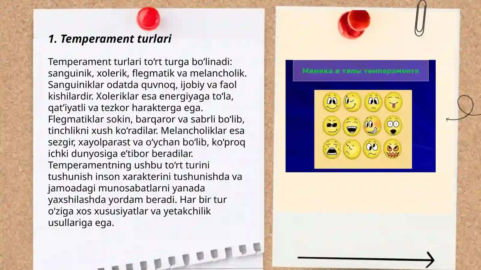 Temperament Turlari 3