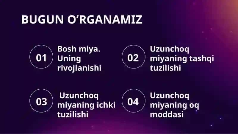 Uzunchoq miya. 3
