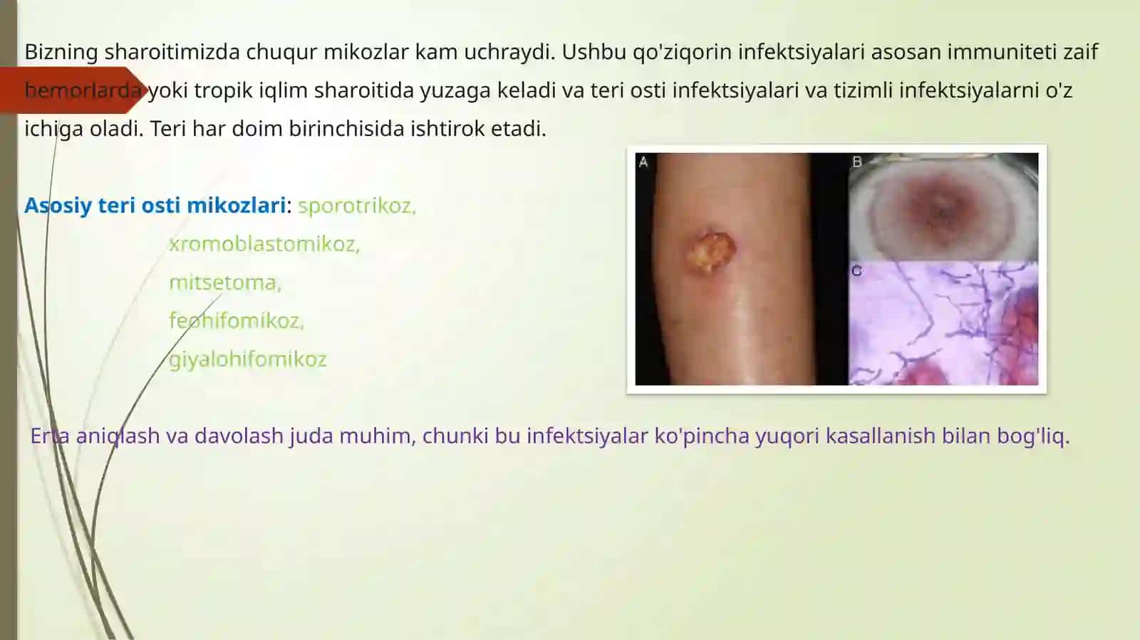 Chuqurmikozlar 3