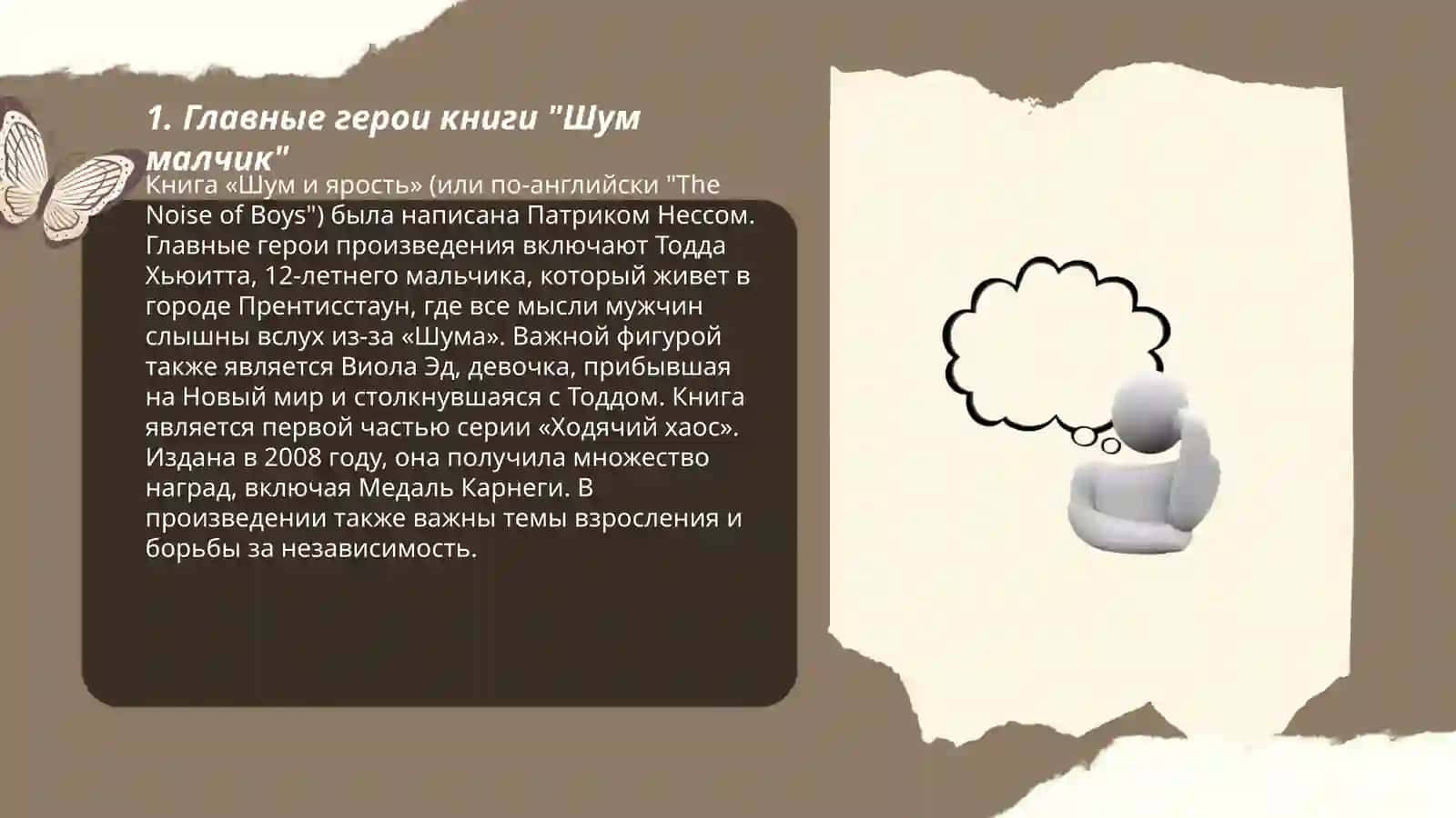 Шум малчик 3