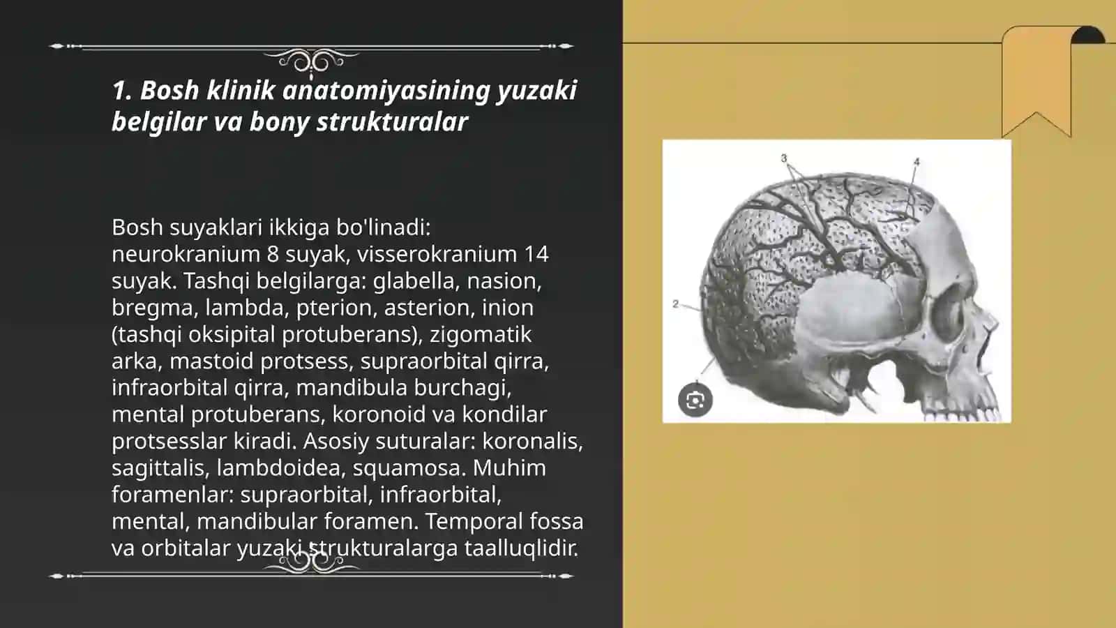 Bosh sohasining klinik anatomiyasi 3