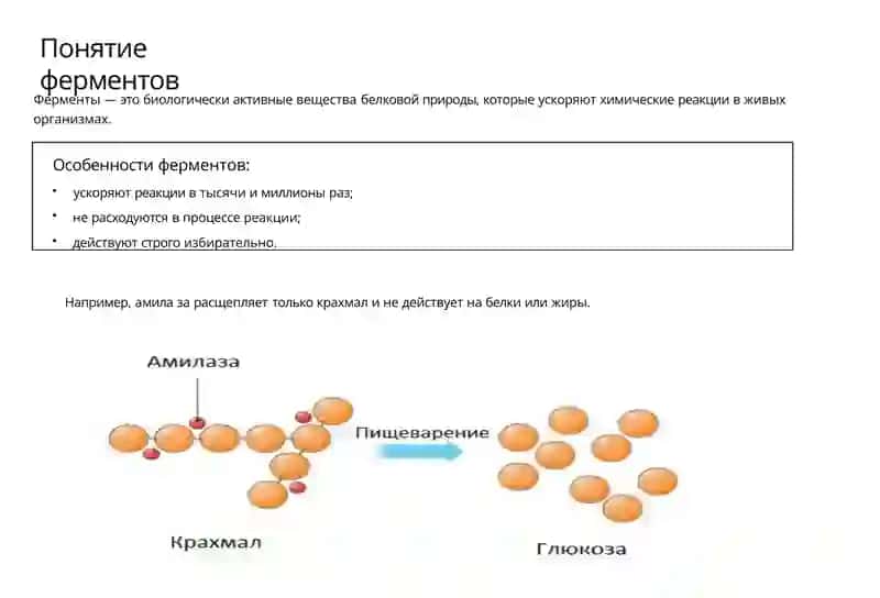 Применение ферментов в медицине 3