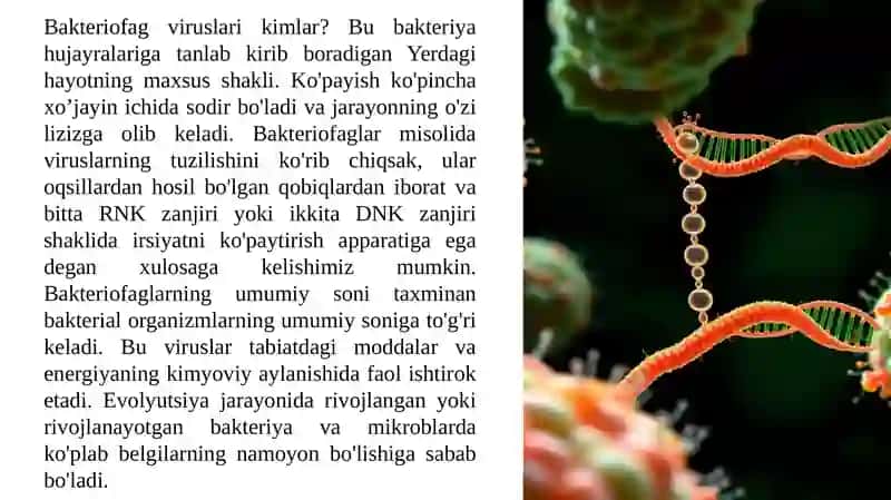 Bakteriofaglar 3